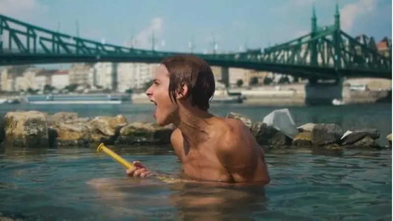 No description available