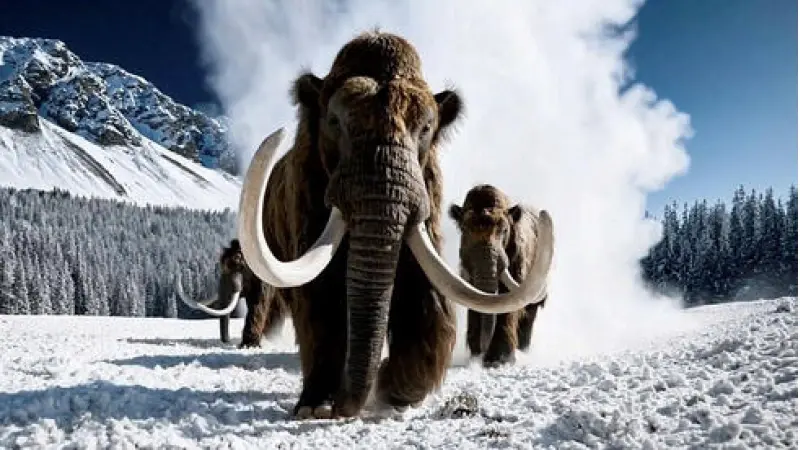 No description available