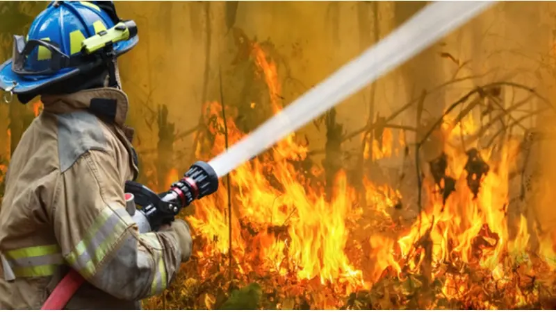 שריפה (צילום shutterstock)