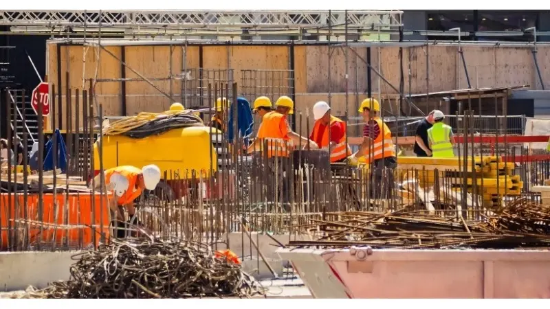 ניר שמול - מנכל חברת שניר. צילום: טל שחר