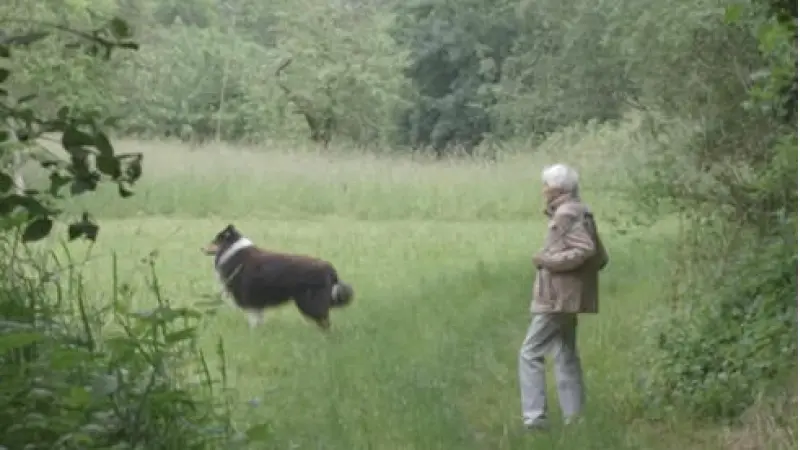 No description available