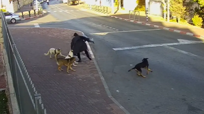 No description available