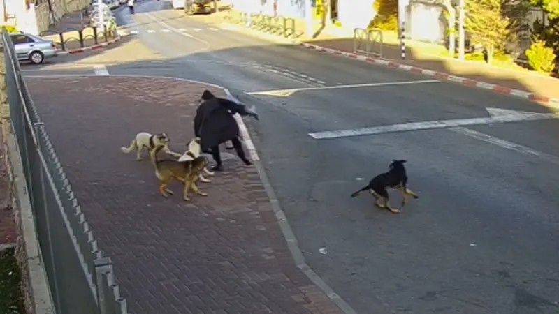 No description available