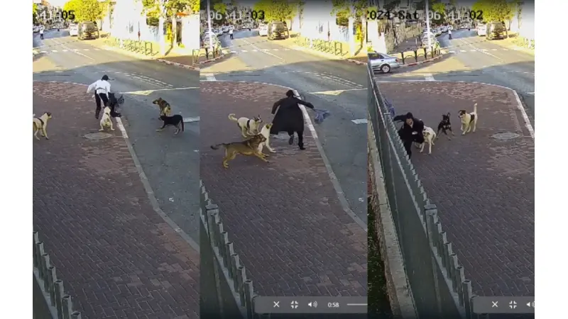 No description available