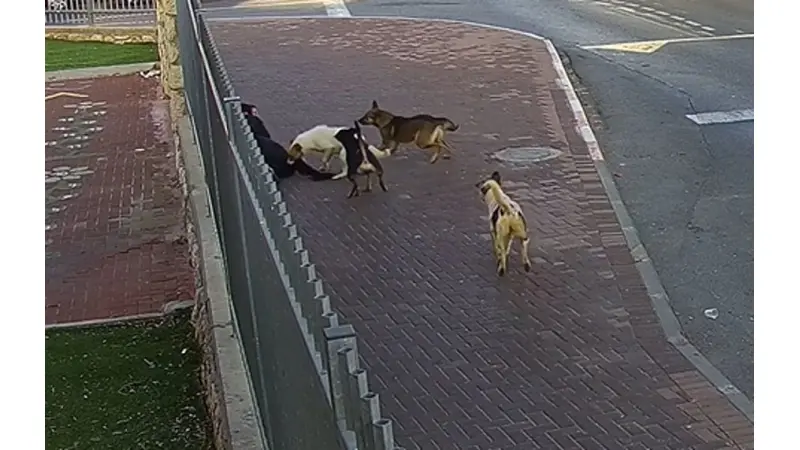 No description available