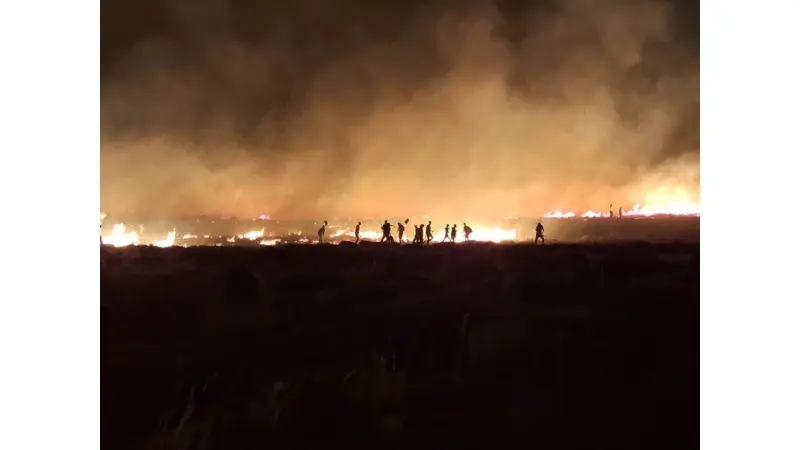 No description available