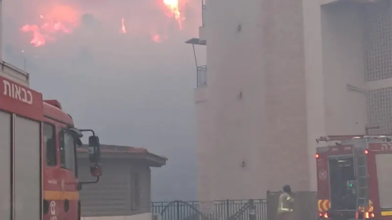 No description available