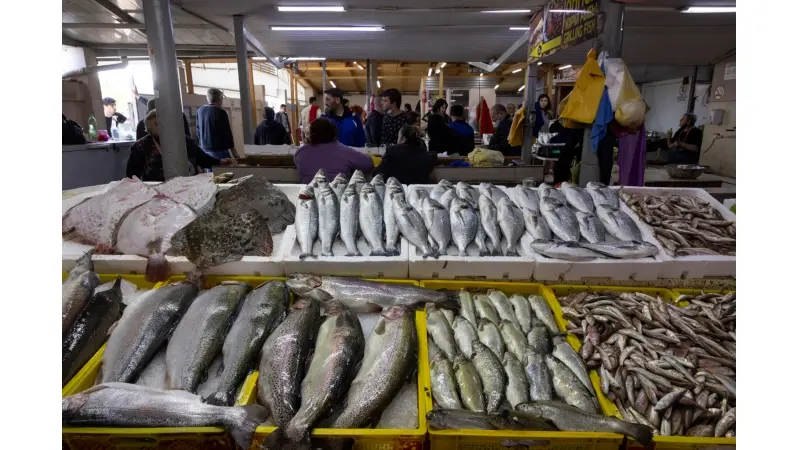 דגים (צילום פלאש 90)