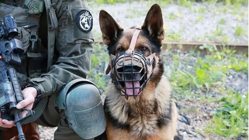 No description available