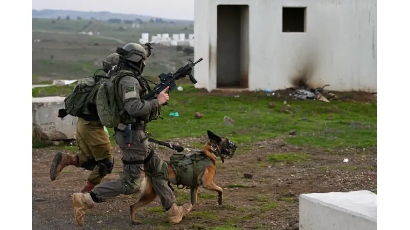 No description available