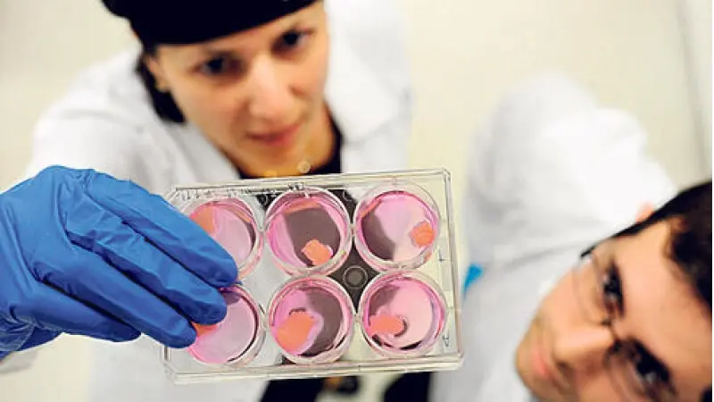 No description available