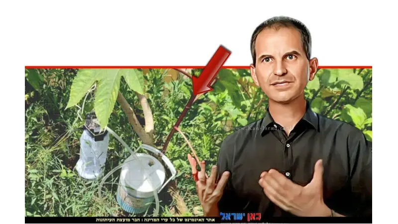 ד”ר שי רייכר, יתושים