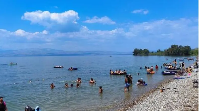 No description available