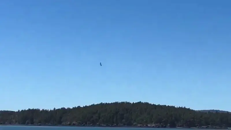 No description available