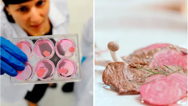 No description available