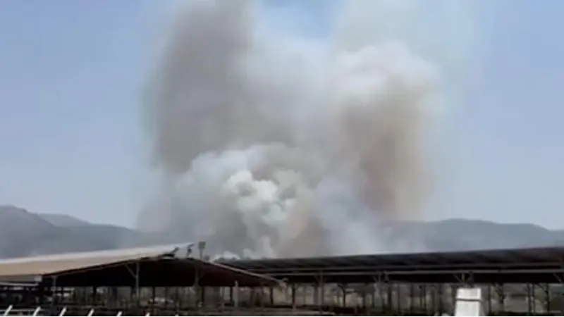 No description available