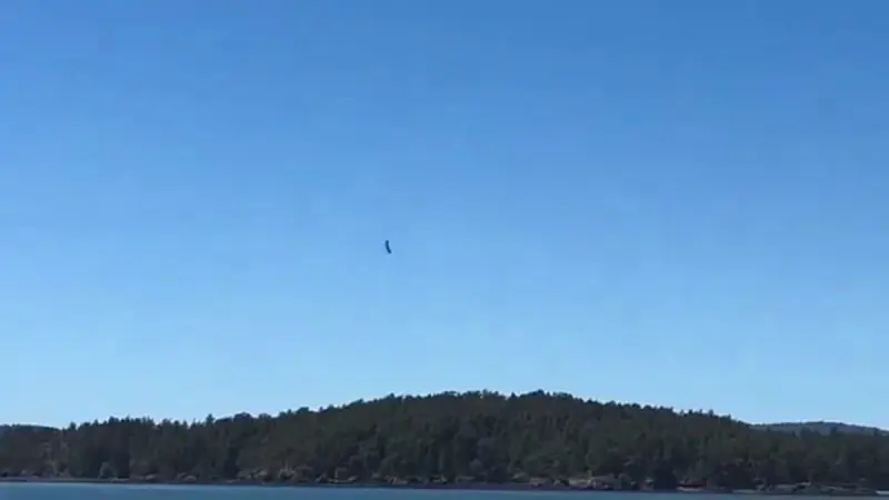 No description available