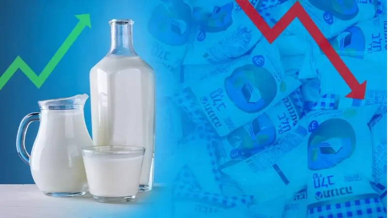 שוק החלב המפוקח בישראל (צילום פלאש 90/ יונתן זינדל, pexels)