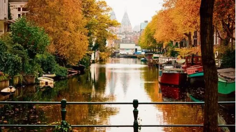 No description available