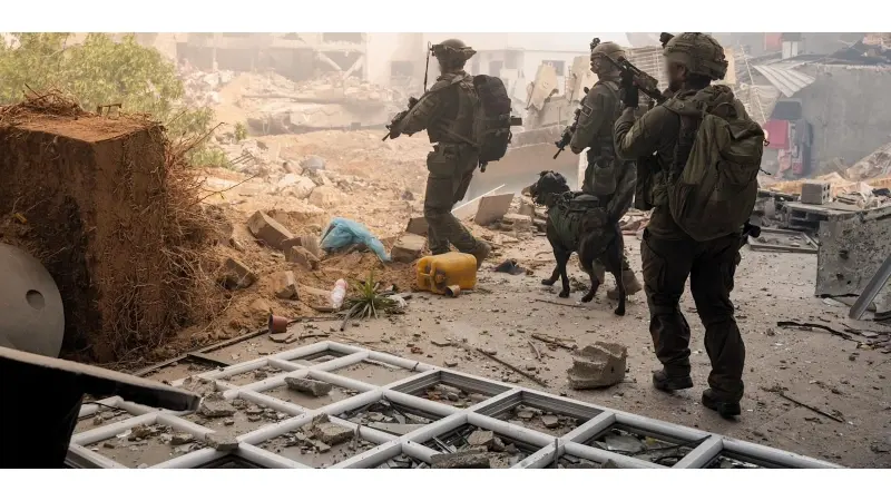 No description available