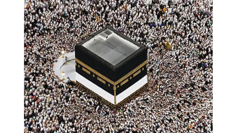 No description available