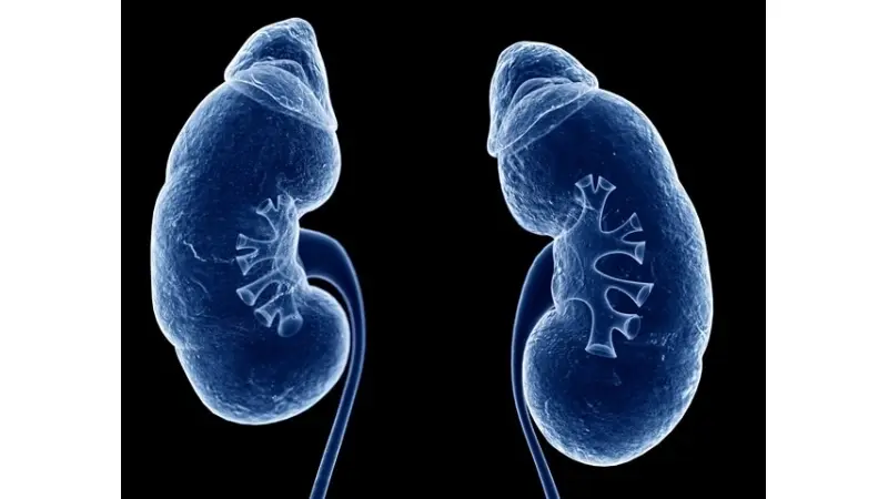 No description available