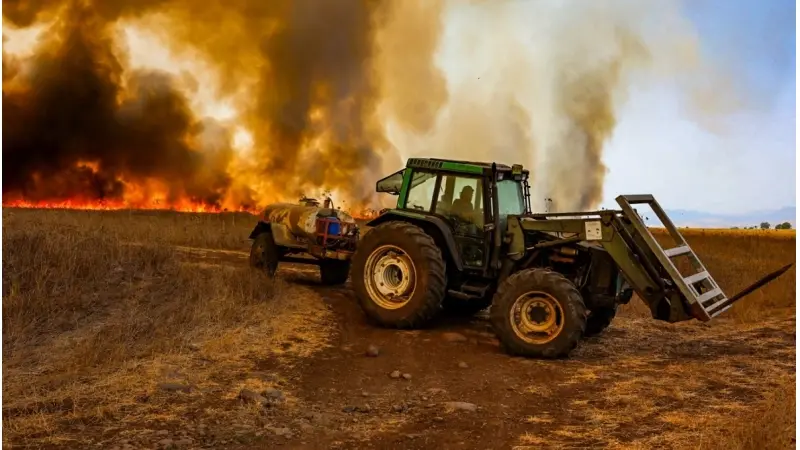 השריפות בצפון, צילום: Maor Kinsbursky,Flash90