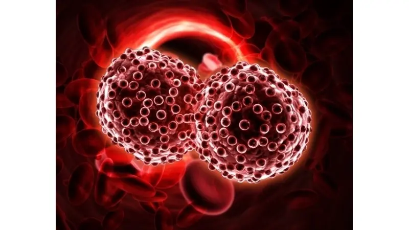 No description available