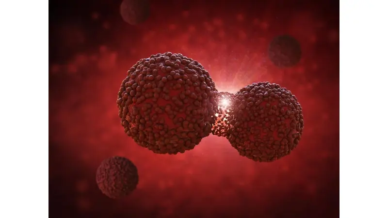 No description available